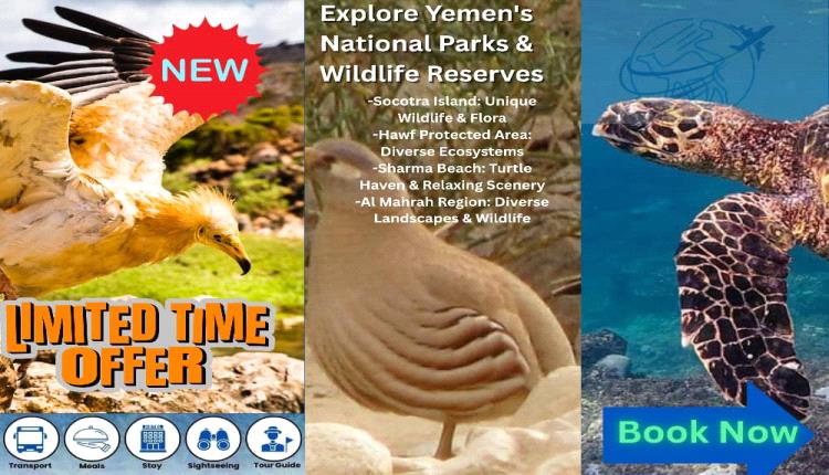 Yemen National Parks & Wildlife Tour