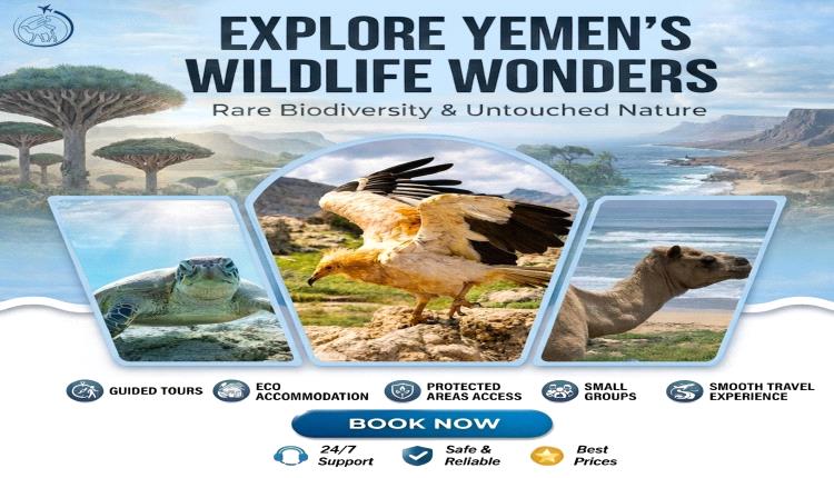 Yemen National Parks & Wildlife Tour