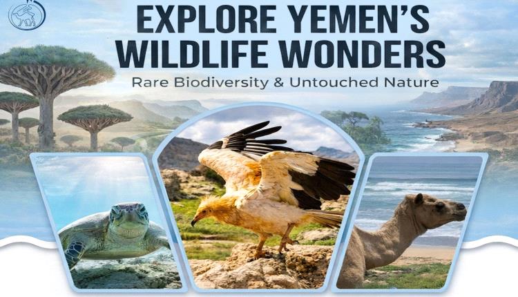 Yemen National Parks & Wildlife Tour
