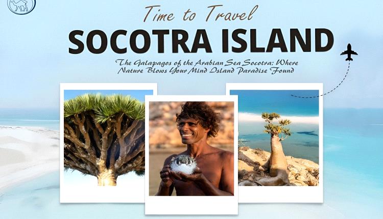 🇾🇪 - SOCOTRA ISLAND