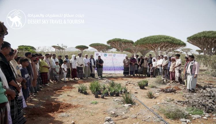 Socotra Celebrates World Environment Day 2026 at Farmhin Forest Reserve