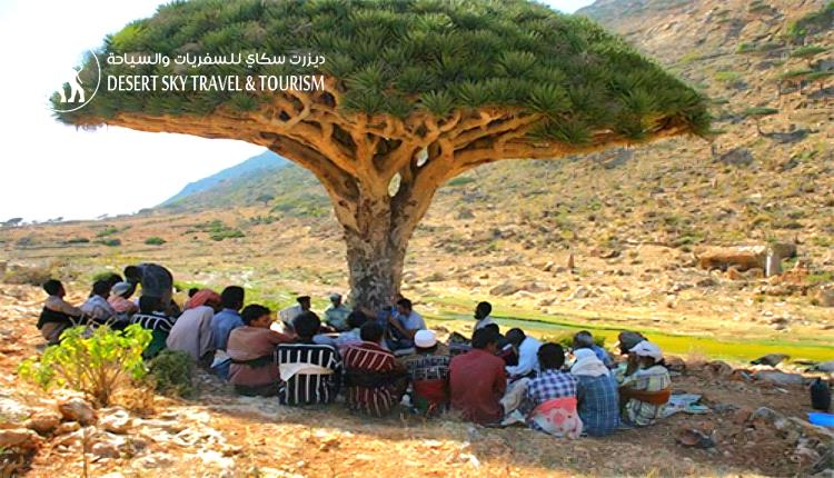 On Socotri Language Day (3rd March of each year)